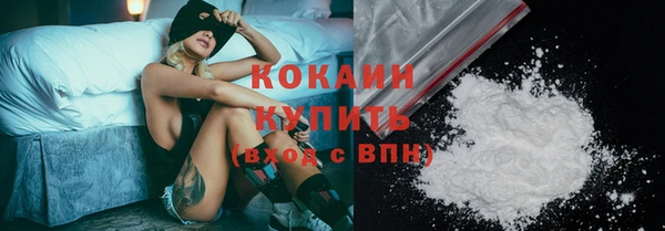 прущие грибы Переславль-Залесский