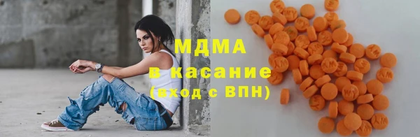прущие грибы Переславль-Залесский