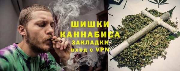 прущие грибы Переславль-Залесский