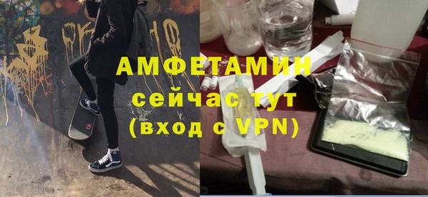 прущие грибы Переславль-Залесский