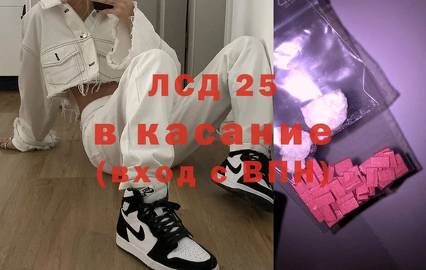 прущие грибы Переславль-Залесский