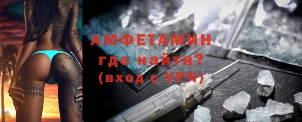 прущие грибы Переславль-Залесский