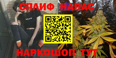 индика Бийск