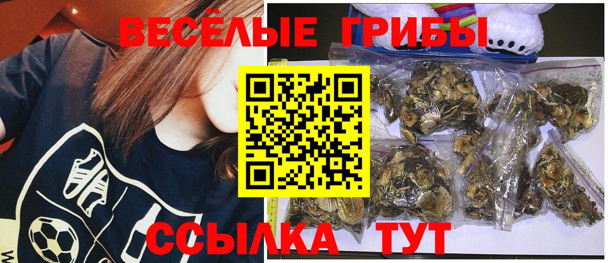 Галлюциногенные грибы Magic Shrooms  Галлюциногенные грибы Psilocybe  даркнет сайт  Калуга  Вход с VPN 