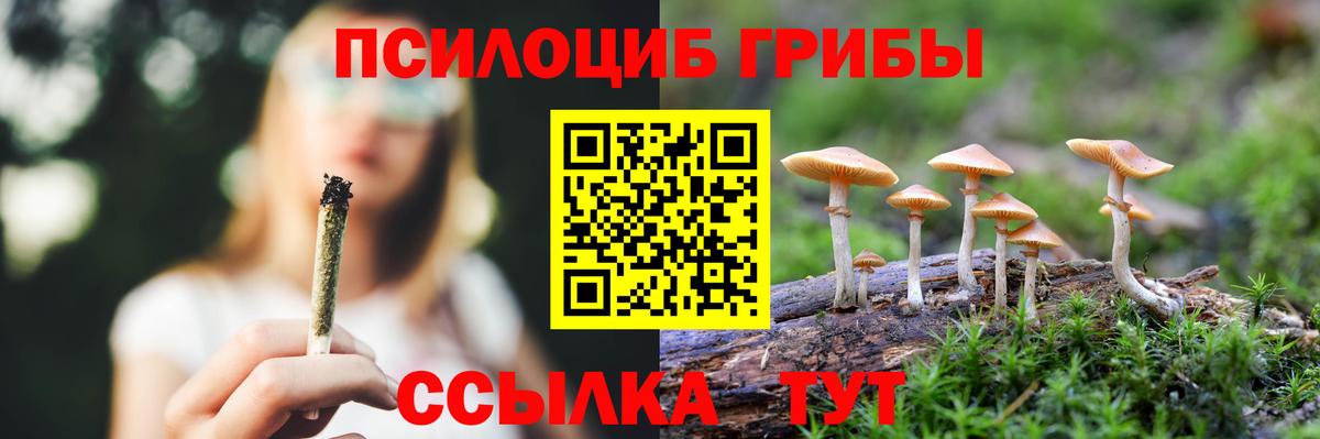Псилоцибиновые грибы мицелий Калуга