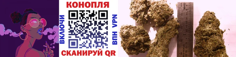 Шишки марихуана сатива  Калуга 